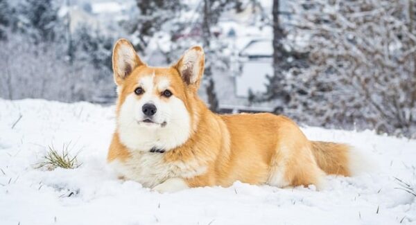 赚钱的网赚：揭秘网络赚钱的真相和技巧