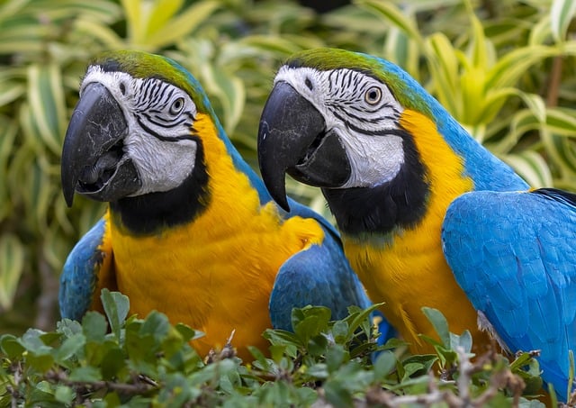 百度搜索大数据与友情链接出售：SEO优化的关键要素