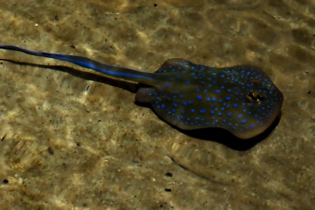 创业网大全：汇集各类创业网站，让你轻松找到心仪的创业项目！