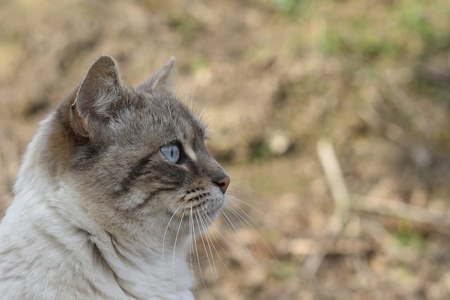 百度搜索大数据解读：洞察网赚行业的市场趋势—暮沉资源站