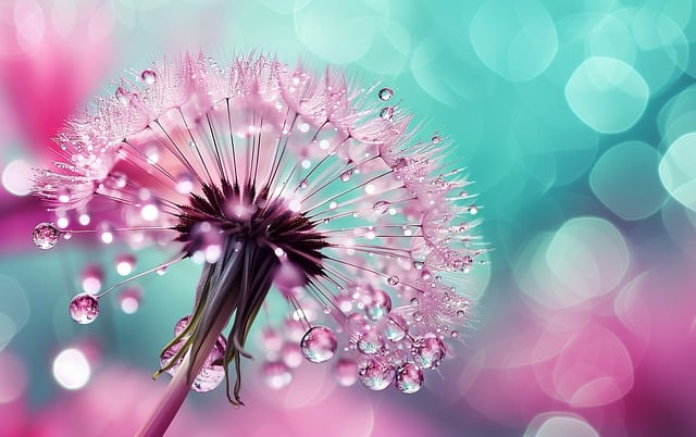 新手网赚论坛导航：免费网赚项目与最新趋势一网打尽