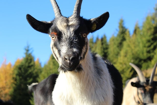 网上赚钱论坛：创业网络的秘密，赚钱论坛中的实战技巧与策略