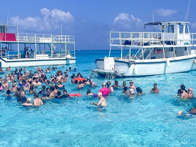 金色旋风网赚论坛探秘：发现网赚行业的潜力项目