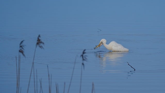 创业商机网全景：无本博客赚钱秘籍，探索创业项目的市场潜力