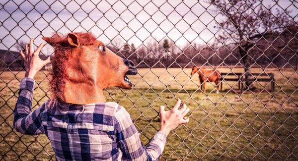 “一公斤网赚论坛”深度解析：如何成为网赚高手？