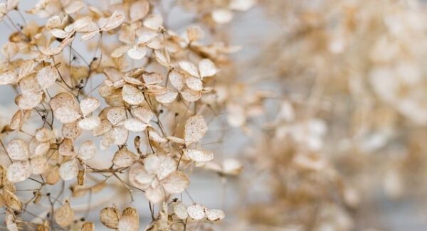 “怎么网上创业”全攻略：“创业网大全”导航，寻找最适合你的创业项目