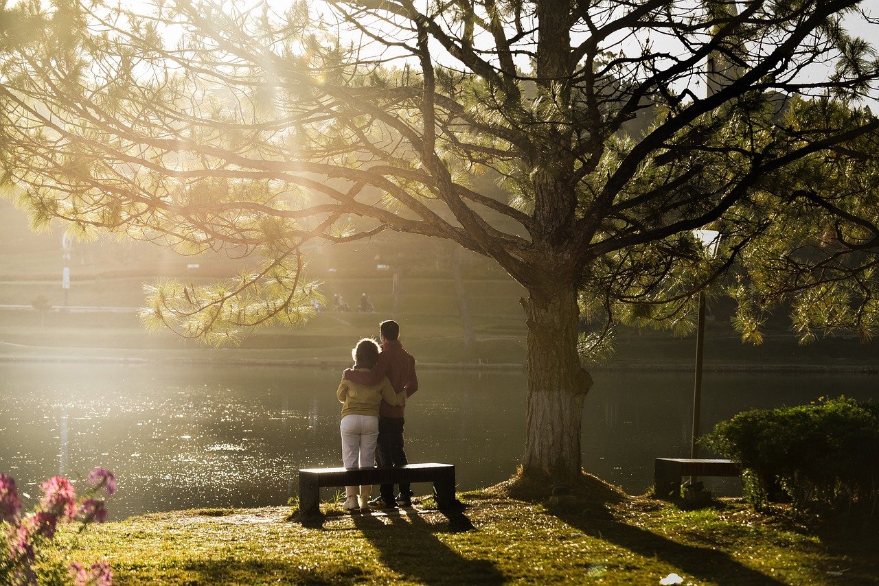 中赚网资源分享：汇聚行业精英的网赚项目与经验