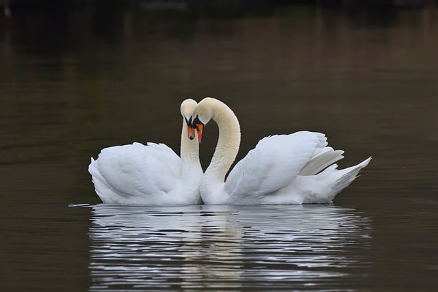 创业论坛网聚焦、深度网赚论坛指南：学习网赚技巧与行业趋势