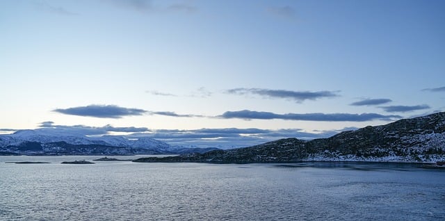 最新赚钱项目与创业网络：紧跟市场趋势的赚钱策略