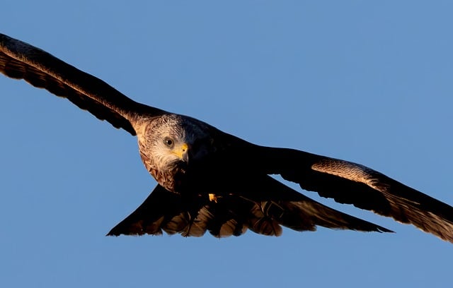 站长网赚论坛交流：网赚教程全集，分享站长赚钱的心得与经验