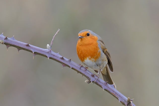 网赚论坛大全导航：一站式了解网赚行业