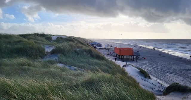 创业项目论坛：探索最新赚钱项目和免费网赚项目的无限可能