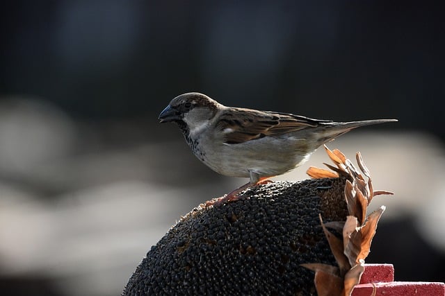 说钱网专题：赚钱的网赚之路，探索网赚行业的成功秘诀，分享网络赚钱的最新动态与趋势
