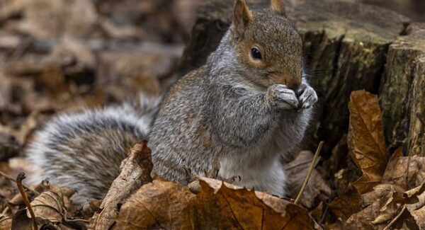 非凡网赚网专题：发现非凡的网赚机会，免费网上赚钱实战，轻松实现财富增长