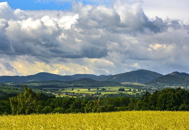 无本创业新篇章：开启你的网络赚钱之旅