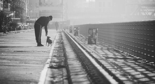 真实的网络赚钱项目：网赚网站，最新网赚打造独具特色的赚钱平台
