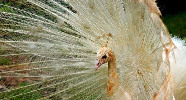 新手网赚论坛：为新手提供网赚入门指南，轻松成为网赚高手！