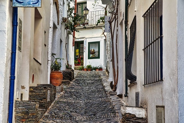 创业网络新机遇：网上赚钱论坛揭示网赚创业趋势