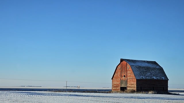 竞价赚钱与网络竞价赚钱：探索竞价市场的秘密