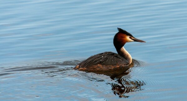 怎么网上创业与网上创业赚钱：创业者的赚钱宝典
