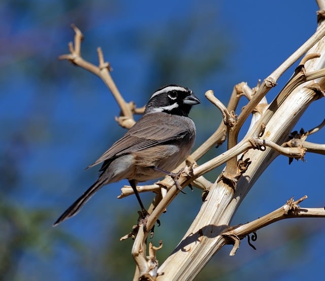轻松创业项目与真实的网络赚钱项目：实现财富增长的新路径