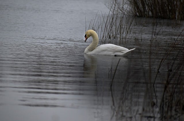 致富金点子与轻松创业项目：发现创业新机遇