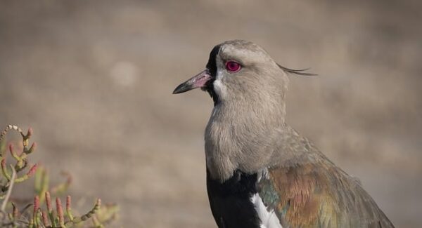 网赚教程：番号库官网，教你如何利用最新番号库提高网站价值
