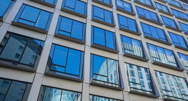 新手网赚论坛指南：从免费网赚项目到成功网赚的蜕变