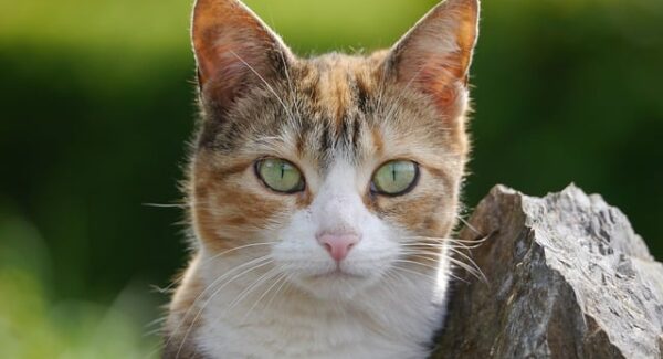 创业故事论坛与创业网大全：创业者的故事宝库