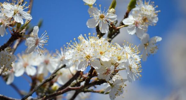 福缘网赚创业指南：新手如何快速融入网上赚钱论坛