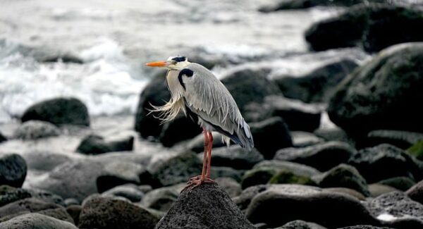 金旋风网赚论坛与中创网赚论坛：网赚行业的交流圣地
