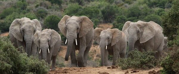 SEO优化课程：网上赚钱论坛，如何利用百度快照更新提高网站排名