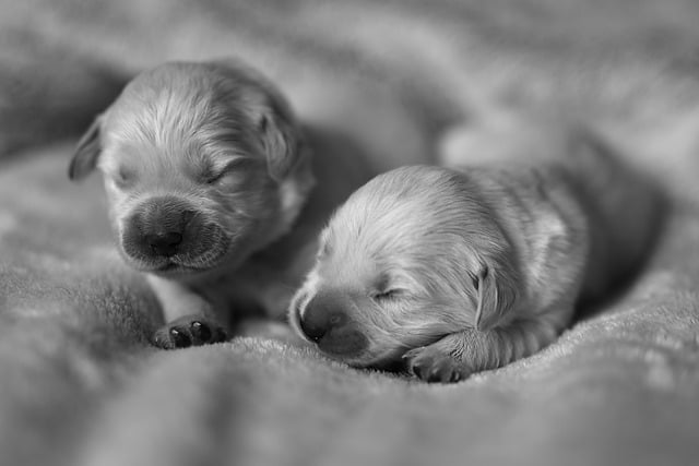 【中赚】中赚网独家分享：百度关键词价格分析，助力你精准投放广告