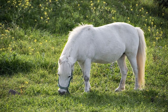 【最新网赚】中赚网分享副业项目，暮沉网创带你轻松致富