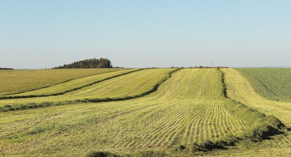 【创业网络】创业论坛网精选：轻松创业项目，助你创业无忧