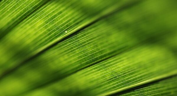 网上免费赚钱项目推荐：创业好项目论坛分享赚钱机会