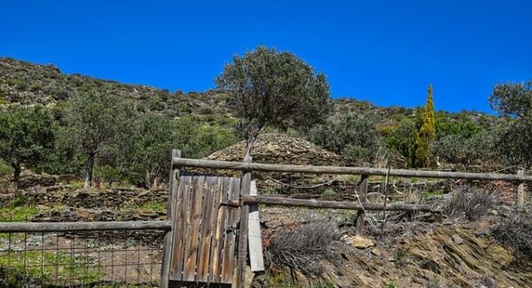 免费网赚项目精选：一公斤网赚论坛推荐赚钱机会