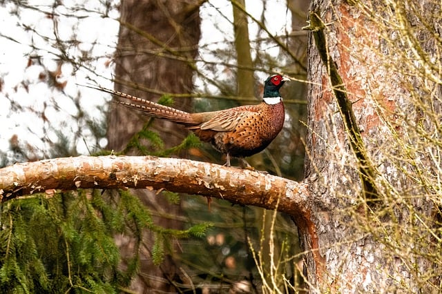 【赚钱论坛】网上赚钱的网站排行，选择最适合你的赚钱方式
