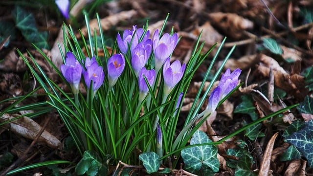 网上赚钱的网站与网上创业赚钱：赚钱平台的双重选择