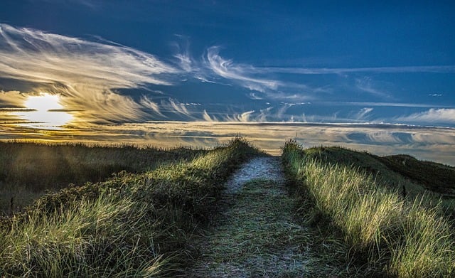 网赚论坛大全导航：网络赚钱论坛热议，一站式了解网赚行业