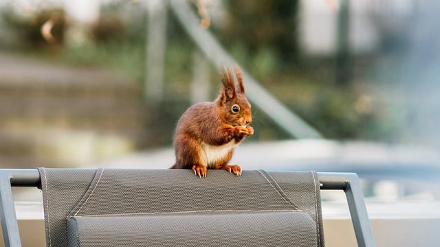 【网赚论坛大全】网赚项目下载全攻略，真实的网络赚钱项目等你来