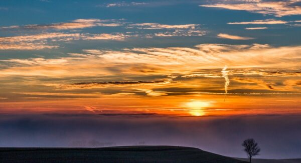 创业网络新机遇、赚钱论坛风向标：探索网络创业的无限可能