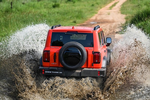 创业论坛网与创业项目交流：汇聚创业智慧