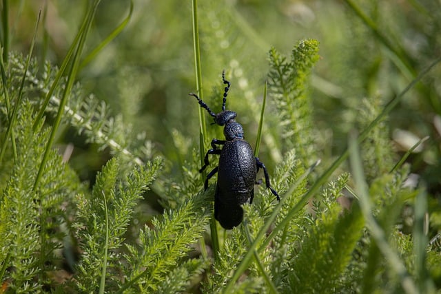 【网上创业】seovip分享SEO赚钱秘诀，让你轻松实现赚钱目标