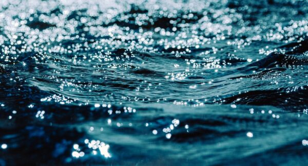 最新网赚：揭秘福缘网赚的热门创业项目，让你轻松赚钱