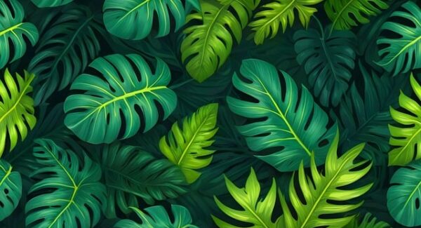 番号库官网SEO提升：利用百度产品大全实现快速排名