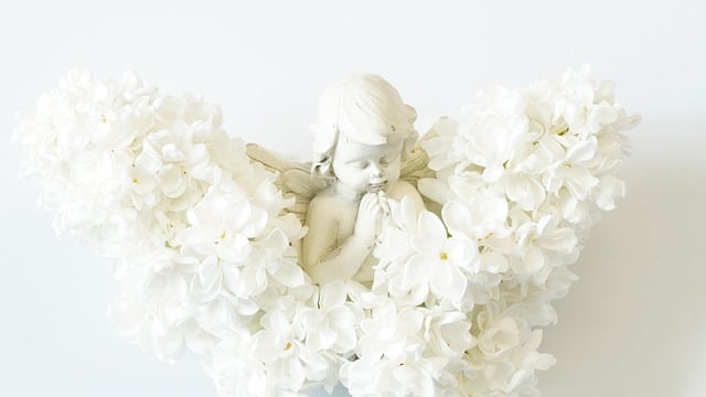 最新赚钱项目：探索网上创业赚钱的奥秘