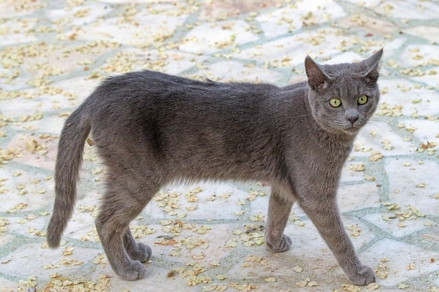 新手网赚论坛：学习免费网赚项目与创业技巧