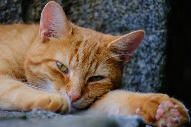 深度网赚论坛：分享创业故事，探索网站赚钱之道