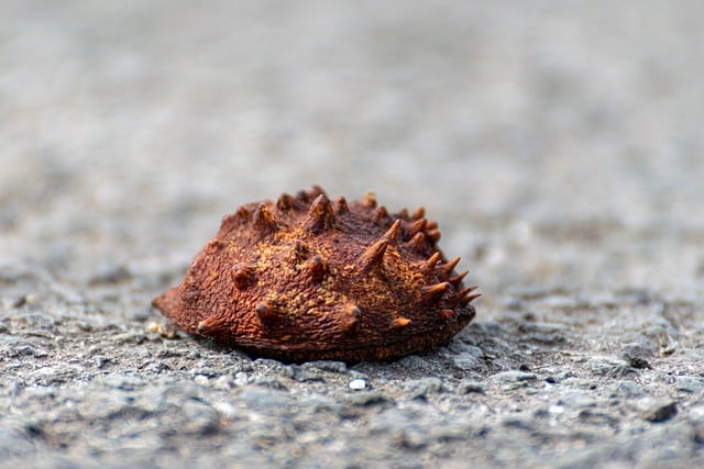 最新网赚技巧：网赚网站与网赚培训的全方位解读